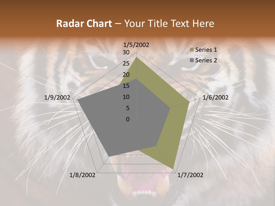 A Tiger With It's Mouth Open And It's Mouth Wide Open PowerPoint Template