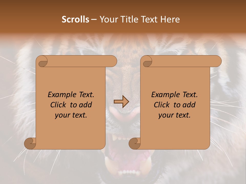 A Tiger With It's Mouth Open And It's Mouth Wide Open PowerPoint Template