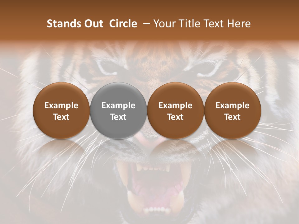 A Tiger With It's Mouth Open And It's Mouth Wide Open PowerPoint Template
