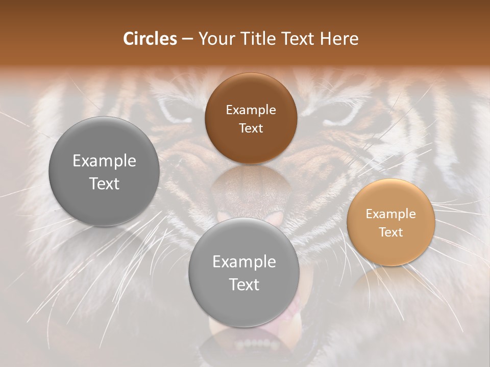 A Tiger With It's Mouth Open And It's Mouth Wide Open PowerPoint Template