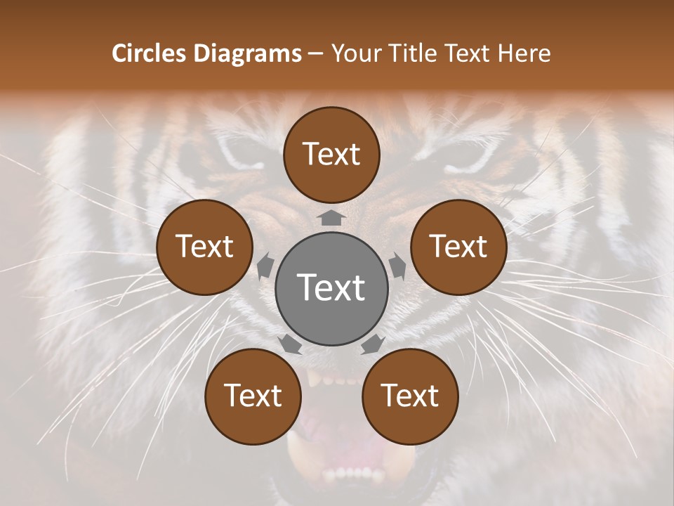 A Tiger With It's Mouth Open And It's Mouth Wide Open PowerPoint Template