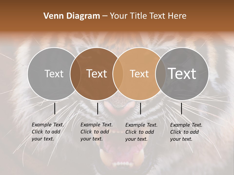 A Tiger With It's Mouth Open And It's Mouth Wide Open PowerPoint Template