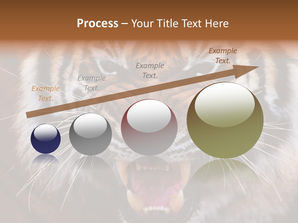 A Tiger With It's Mouth Open And It's Mouth Wide Open PowerPoint Template