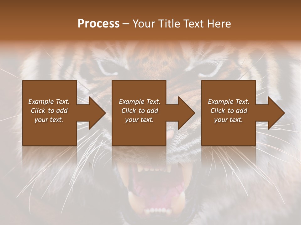 A Tiger With It's Mouth Open And It's Mouth Wide Open PowerPoint Template