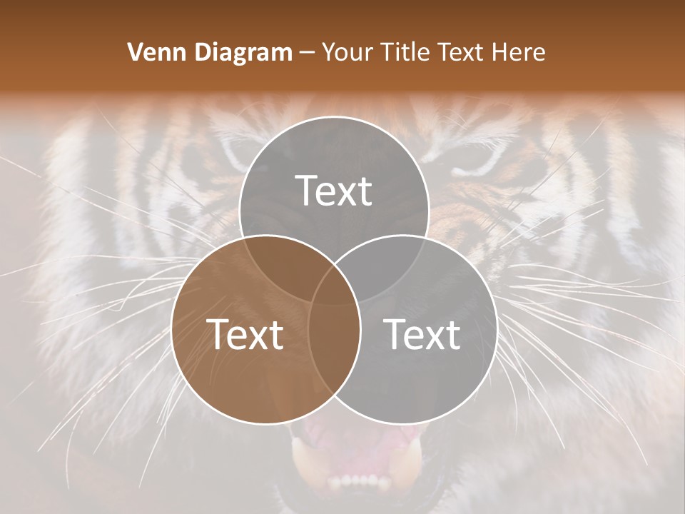 A Tiger With It's Mouth Open And It's Mouth Wide Open PowerPoint Template