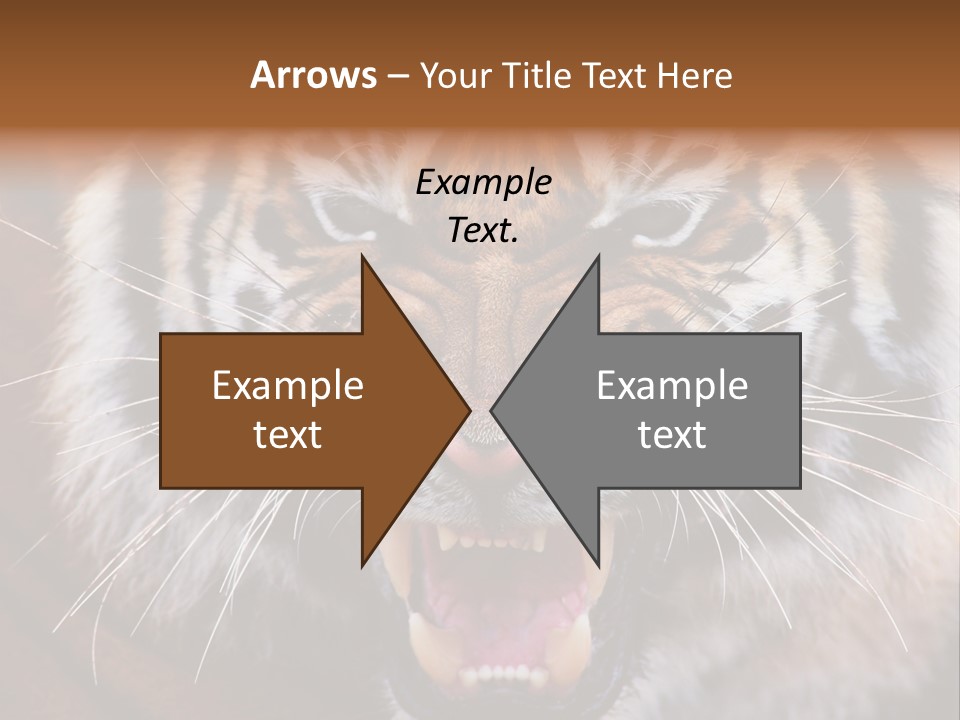 A Tiger With It's Mouth Open And It's Mouth Wide Open PowerPoint Template