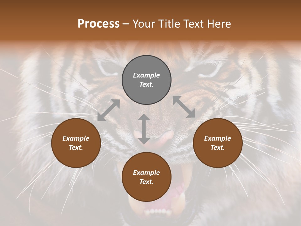 A Tiger With It's Mouth Open And It's Mouth Wide Open PowerPoint Template