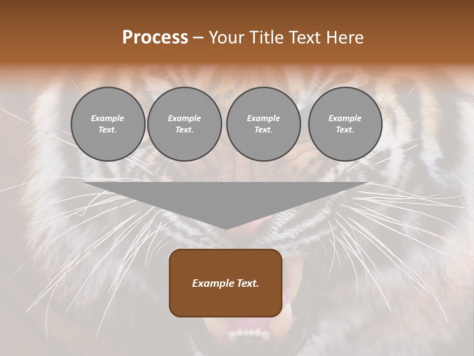 A Tiger With It's Mouth Open And It's Mouth Wide Open PowerPoint Template