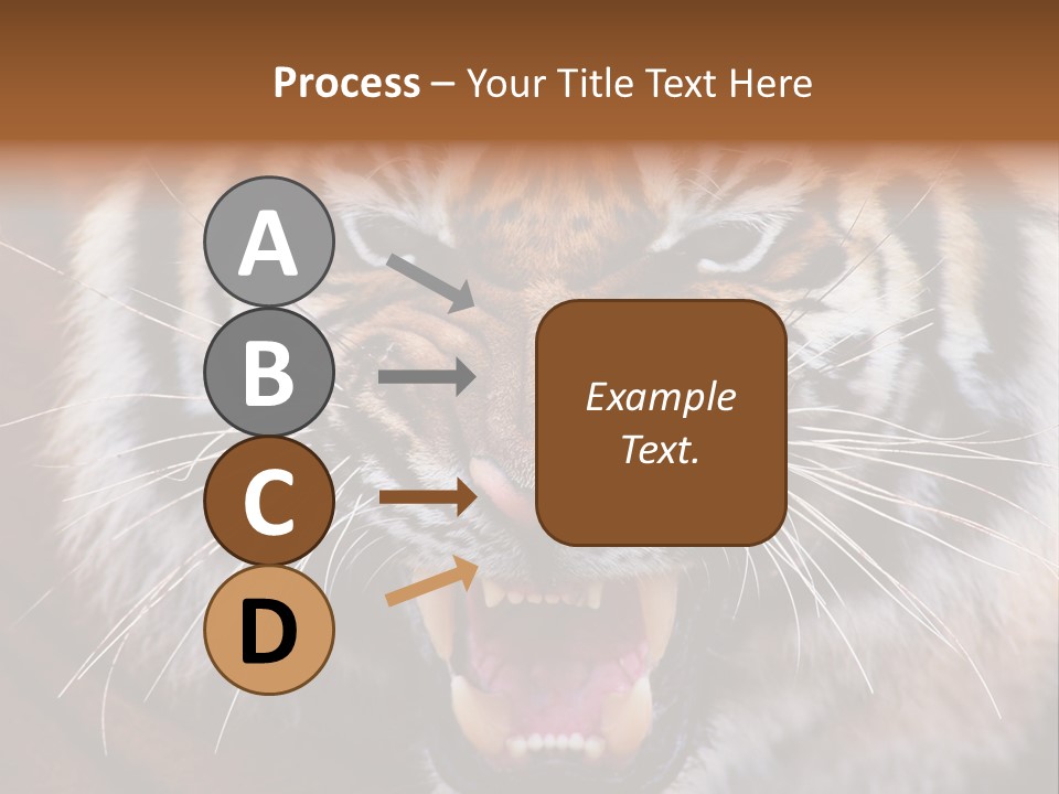 A Tiger With It's Mouth Open And It's Mouth Wide Open PowerPoint Template