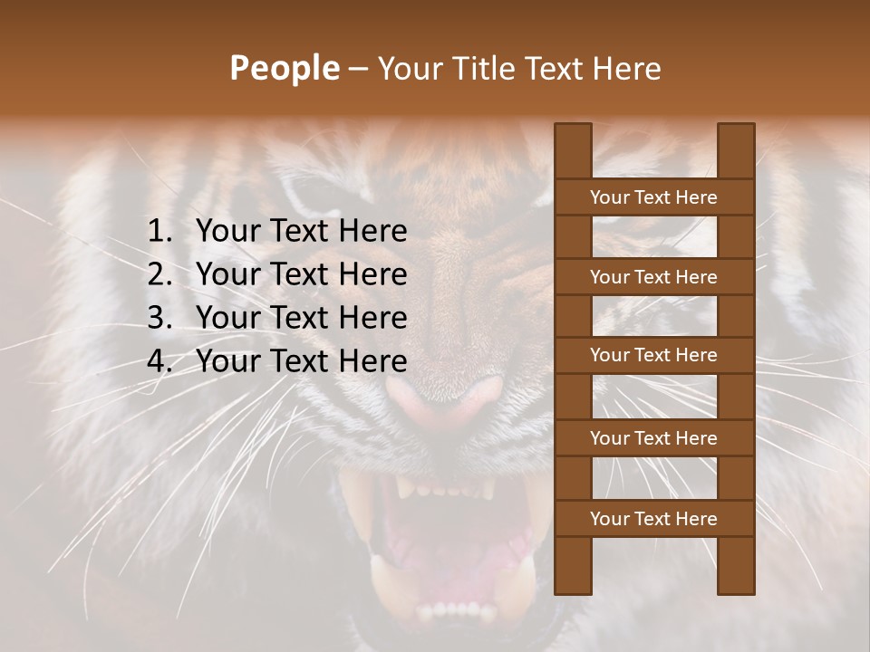 A Tiger With It's Mouth Open And It's Mouth Wide Open PowerPoint Template