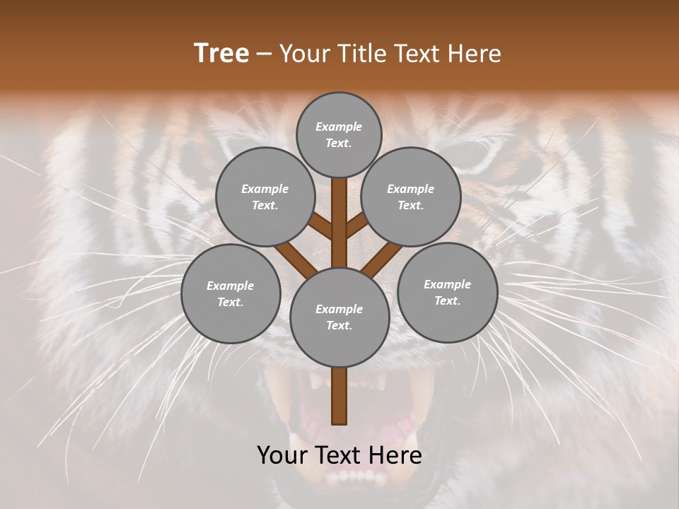 A Tiger With It's Mouth Open And It's Mouth Wide Open PowerPoint Template