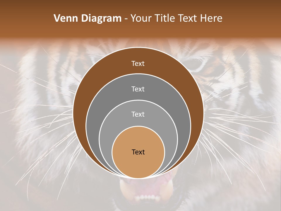 A Tiger With It's Mouth Open And It's Mouth Wide Open PowerPoint Template