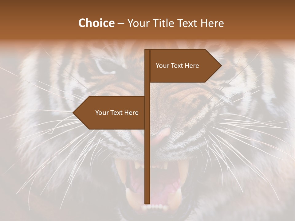 A Tiger With It's Mouth Open And It's Mouth Wide Open PowerPoint Template