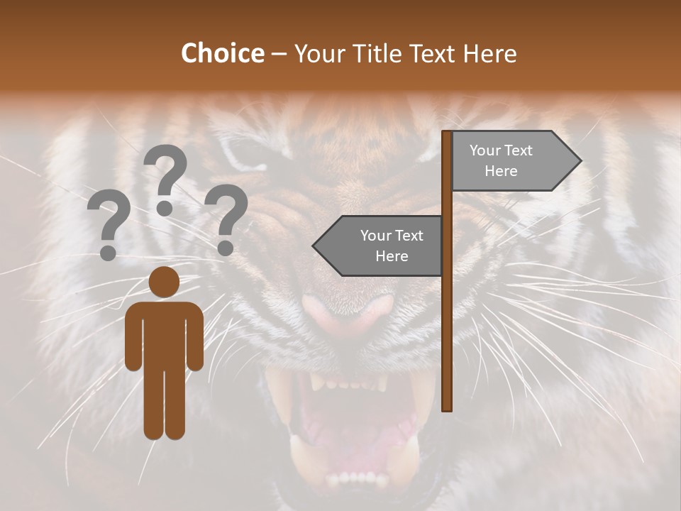 A Tiger With It's Mouth Open And It's Mouth Wide Open PowerPoint Template