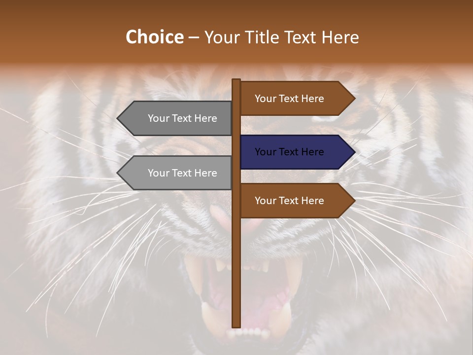A Tiger With It's Mouth Open And It's Mouth Wide Open PowerPoint Template