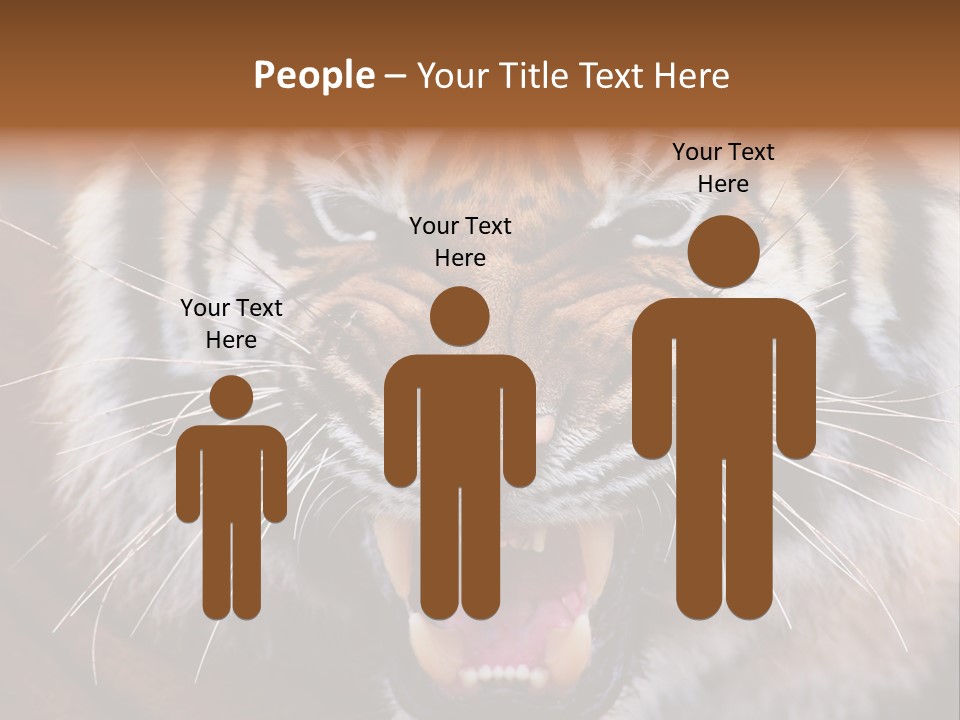 A Tiger With It's Mouth Open And It's Mouth Wide Open PowerPoint Template