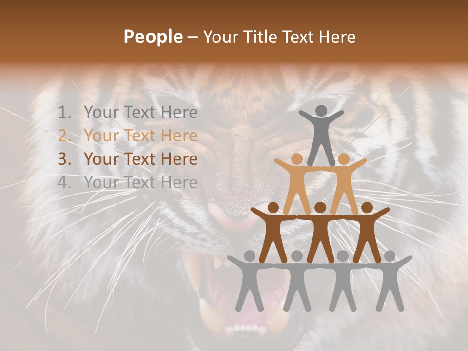 A Tiger With It's Mouth Open And It's Mouth Wide Open PowerPoint Template