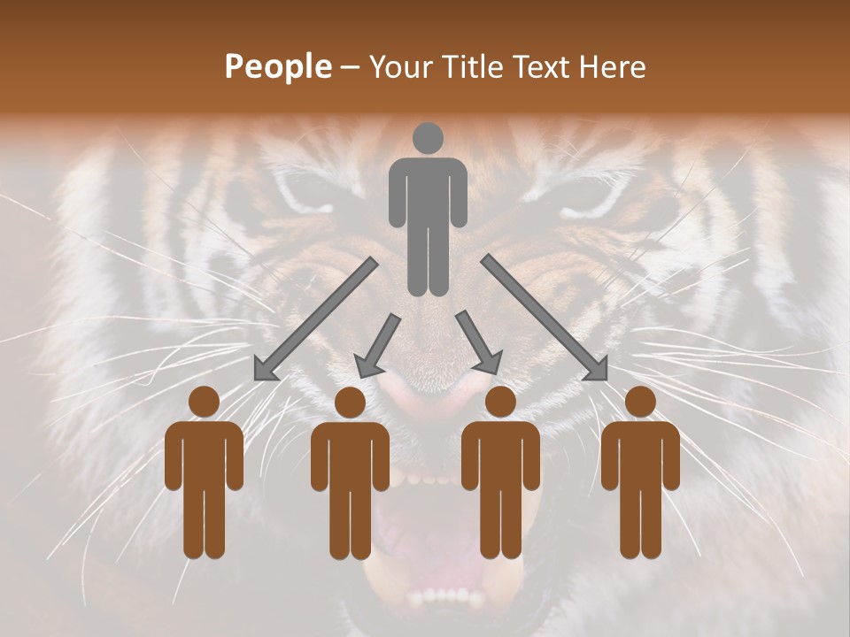 A Tiger With It's Mouth Open And It's Mouth Wide Open PowerPoint Template