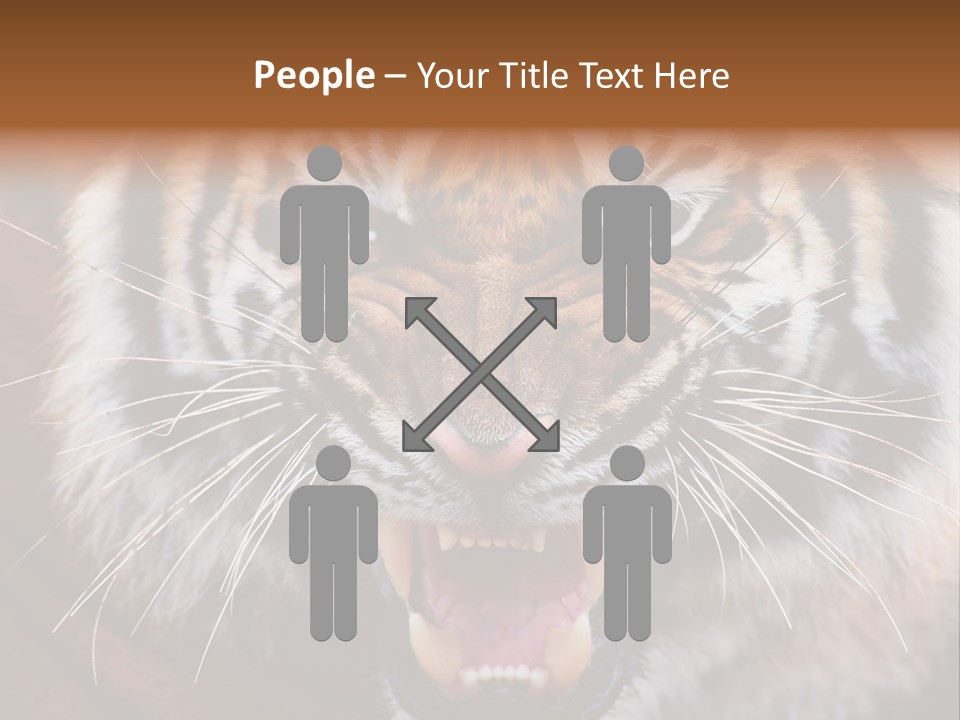 A Tiger With It's Mouth Open And It's Mouth Wide Open PowerPoint Template