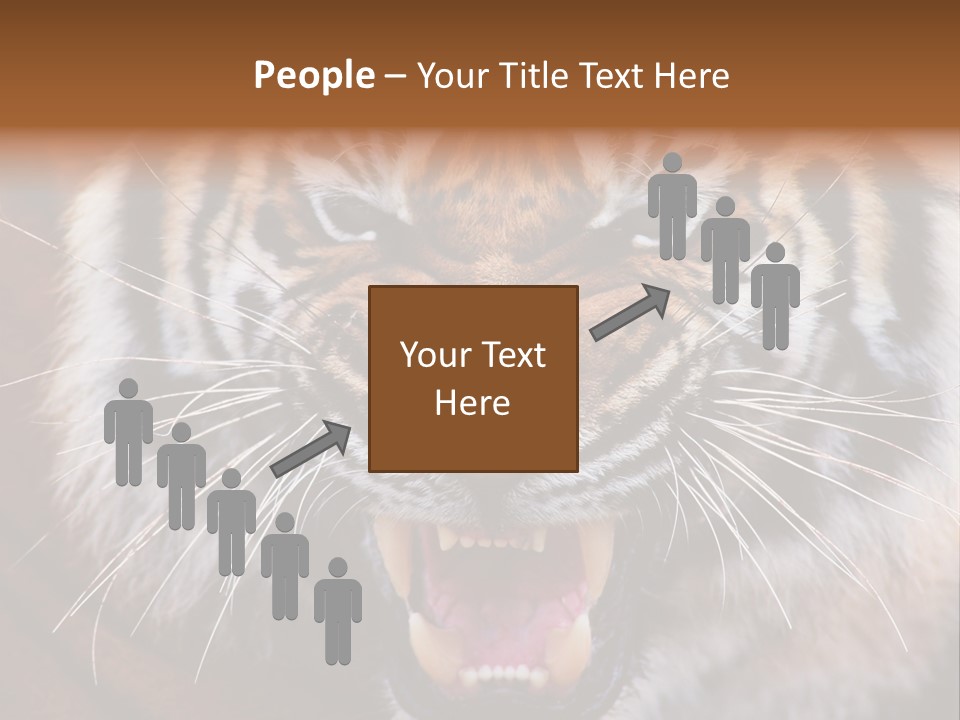 A Tiger With It's Mouth Open And It's Mouth Wide Open PowerPoint Template