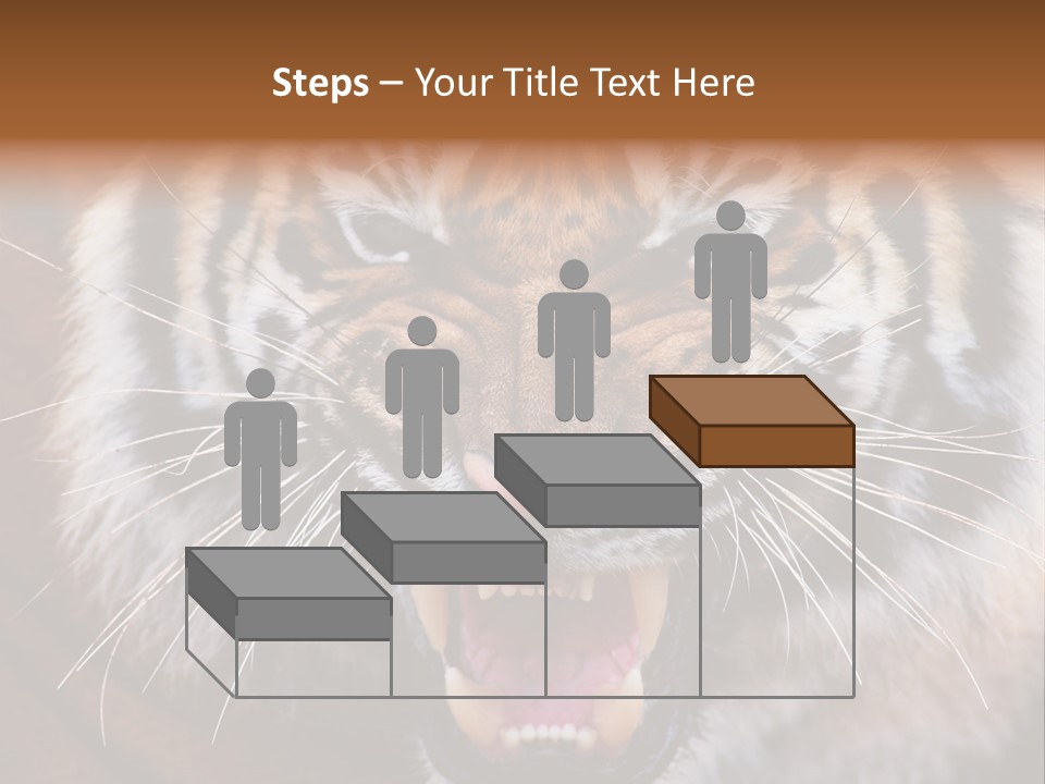 A Tiger With It's Mouth Open And It's Mouth Wide Open PowerPoint Template