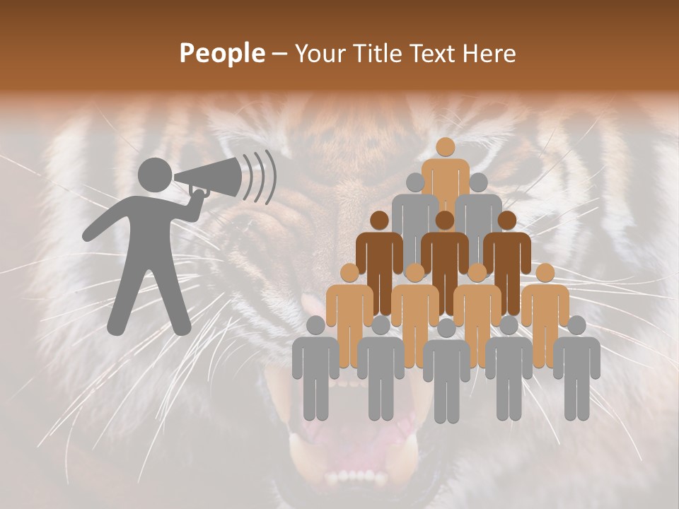 A Tiger With It's Mouth Open And It's Mouth Wide Open PowerPoint Template