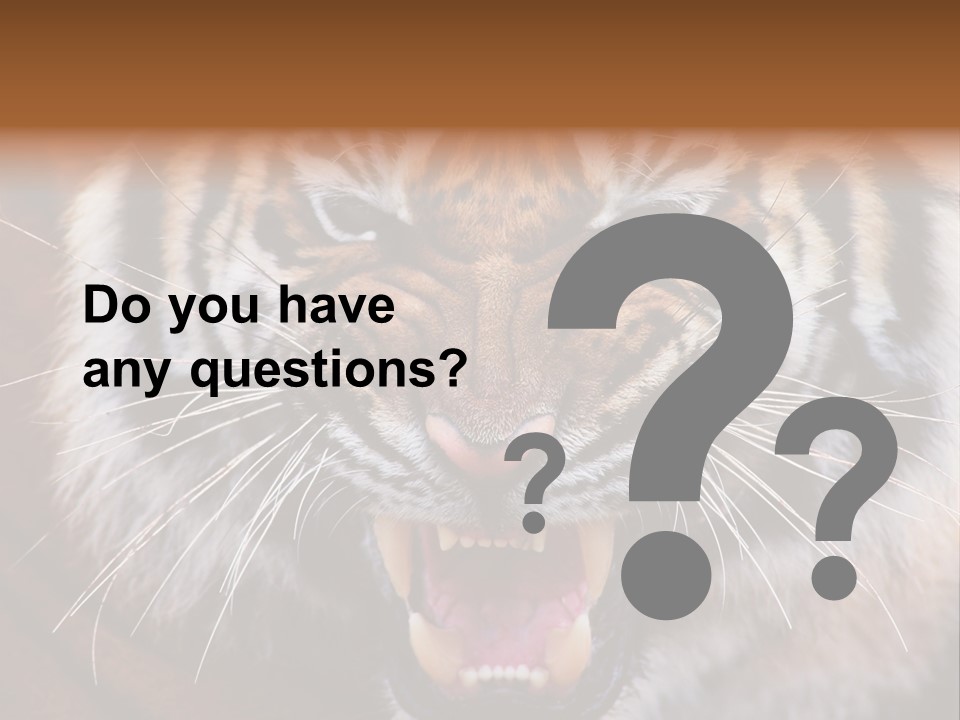 A Tiger With It's Mouth Open And It's Mouth Wide Open PowerPoint Template