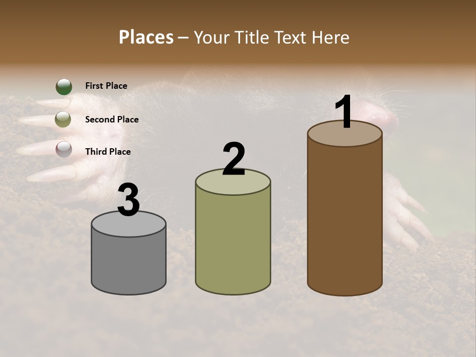 Harmful World Molehill PowerPoint Template