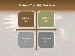 Harmful World Molehill PowerPoint Template