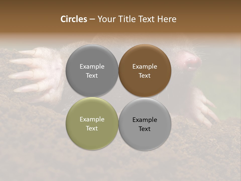 Harmful World Molehill PowerPoint Template