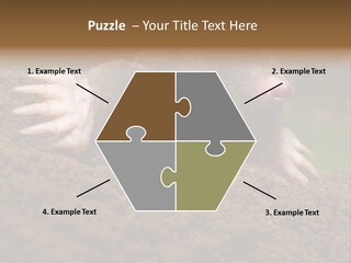 Harmful World Molehill PowerPoint Template