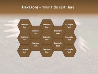 Harmful World Molehill PowerPoint Template