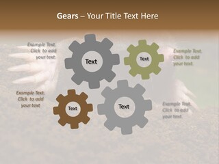 Harmful World Molehill PowerPoint Template