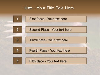 Harmful World Molehill PowerPoint Template