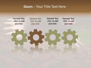 Harmful World Molehill PowerPoint Template