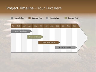 Harmful World Molehill PowerPoint Template