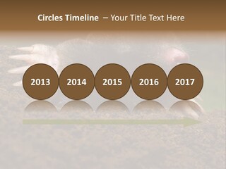 Harmful World Molehill PowerPoint Template