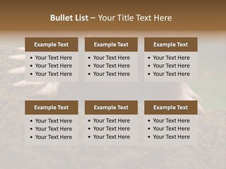 Harmful World Molehill PowerPoint Template