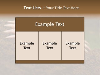 Harmful World Molehill PowerPoint Template