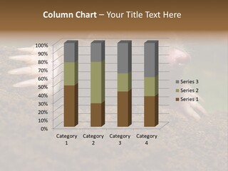 Harmful World Molehill PowerPoint Template