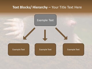 Harmful World Molehill PowerPoint Template