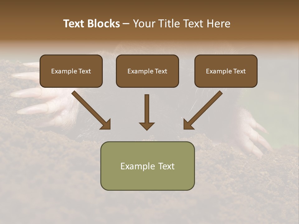 Harmful World Molehill PowerPoint Template
