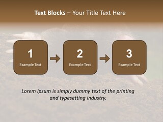 Harmful World Molehill PowerPoint Template