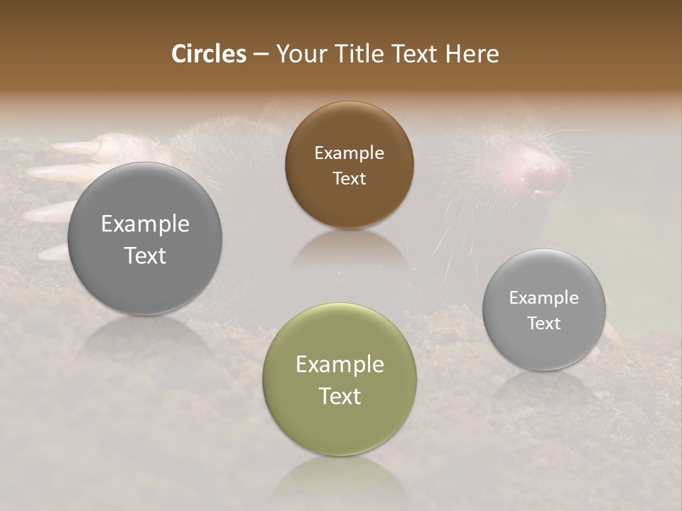 Harmful World Molehill PowerPoint Template