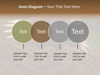 Harmful World Molehill PowerPoint Template