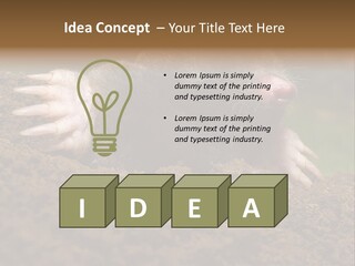 Harmful World Molehill PowerPoint Template