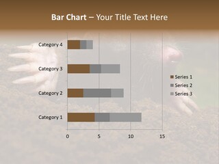 Harmful World Molehill PowerPoint Template