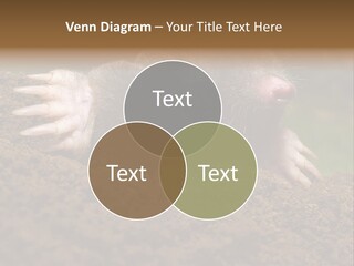 Harmful World Molehill PowerPoint Template