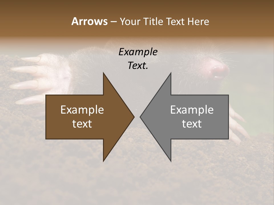 Harmful World Molehill PowerPoint Template