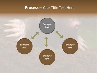 Harmful World Molehill PowerPoint Template